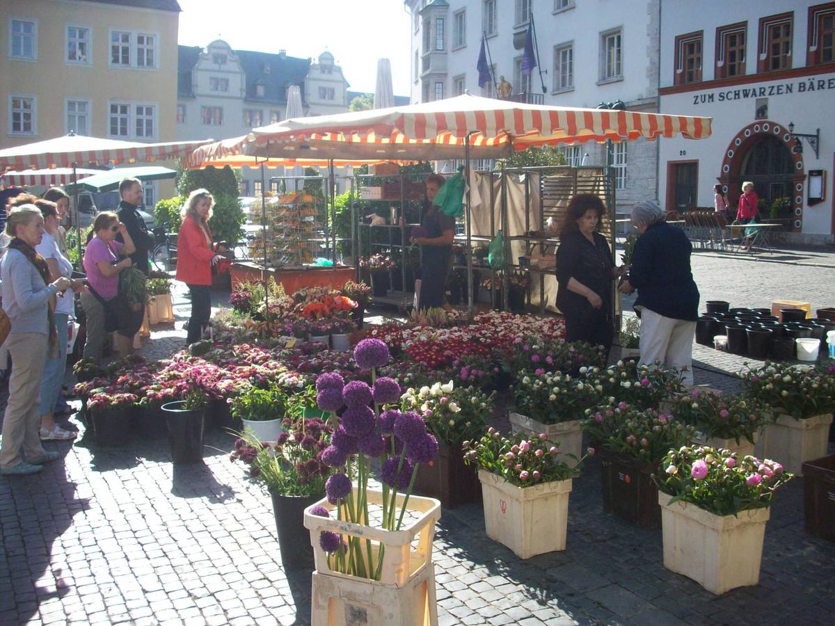 Blumenstand auf dem Marktplatz
