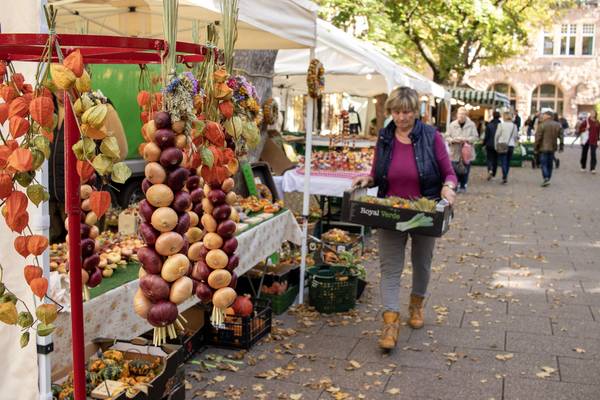 Die Heldrunger Zwiebelbauern sind bereits seit Mittwoch mit ihren Ständen in der Schillerstraße präsent