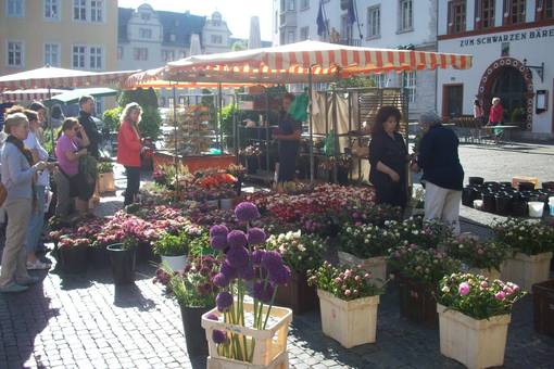 Blumenstand auf dem Marktplatz
