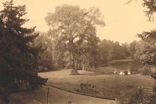 „Frorieps Garten“ - der heutige Weimarhallenpark um 1910.