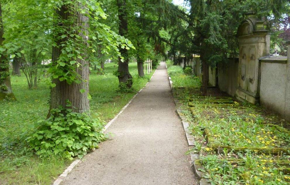 Wegesanierung Hauptfriedhof Weimar: Arbeiten im 3. Bauabschnitt abgeschlossen